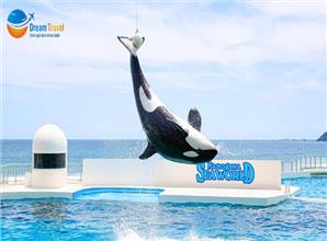 [HCM] Tour Nhật Bản Hè 2025: Thủy cung Seaworld Kamogawa - Công viên Disneyland - Tokyo